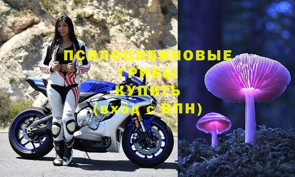 шишки Волосово