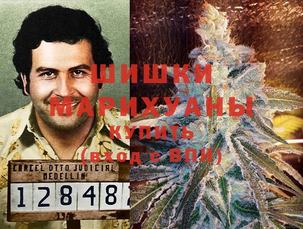 прущая мука Вяземский