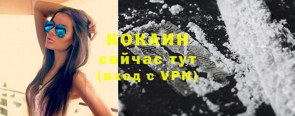 гашик Волоколамск