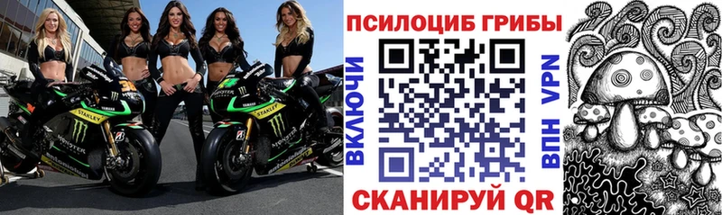 Псилоцибиновые грибы мухоморы  магазин  наркотиков  ОМГ ОМГ ONION  это какой сайт  Искитим 